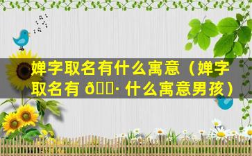 婵字取名有什么寓意（婵字取名有 🌷 什么寓意男孩）